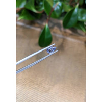 1.11 Ct. Blue Sapphire from Ceylon (Sri Lanka) Life Style