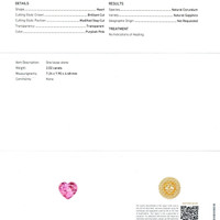 Jewelry Scan Report