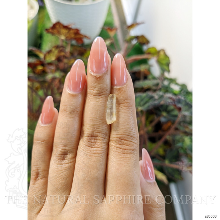 2.63 Ct. Yellow Rough Sapphire from Ceylon (Sri Lanka)