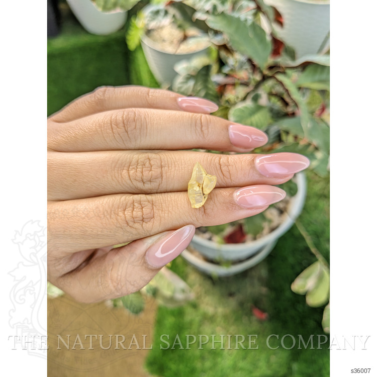 6.70 Ct. Yellow Rough Sapphire from Ceylon (Sri Lanka)