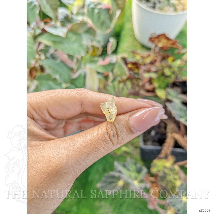 6.70 Ct. Yellow Rough Sapphire from Ceylon (Sri Lanka)