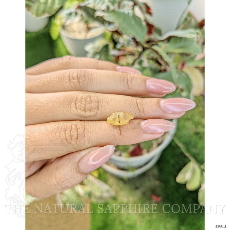 5.31 Ct. Yellow Rough Sapphire Crystal from Ceylon (Sri Lanka)