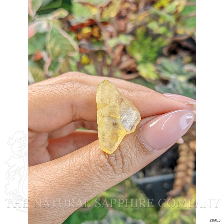 21.70 Ct. Yellow Sapphire Crystal from Ceylon (Sri Lanka)