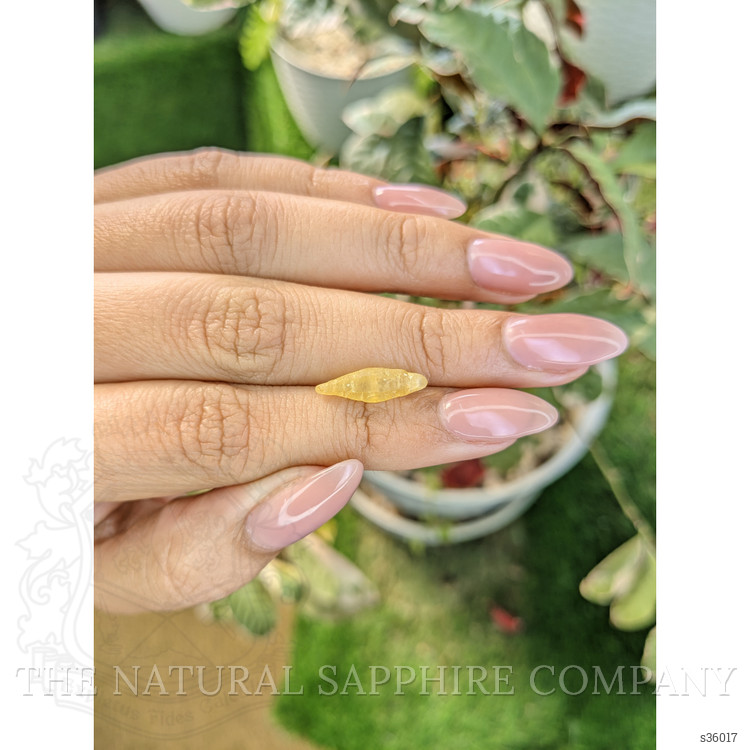 2.90 Ct. Yellow Rough Sapphire Crystal from Ceylon (Sri Lanka)