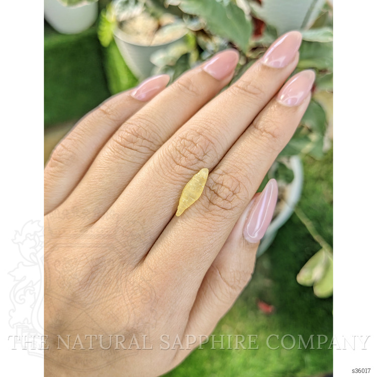 2.90 Ct. Yellow Rough Sapphire Crystal from Ceylon (Sri Lanka)