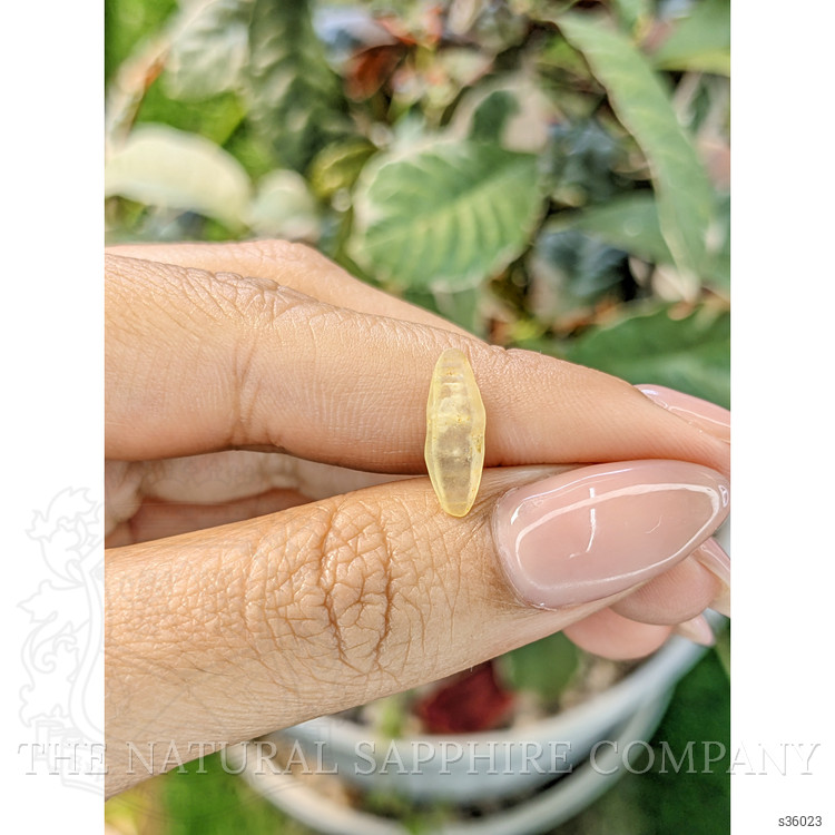 2.14 Ct. Yellow Sapphire Crystal from Ceylon (Sri Lanka)