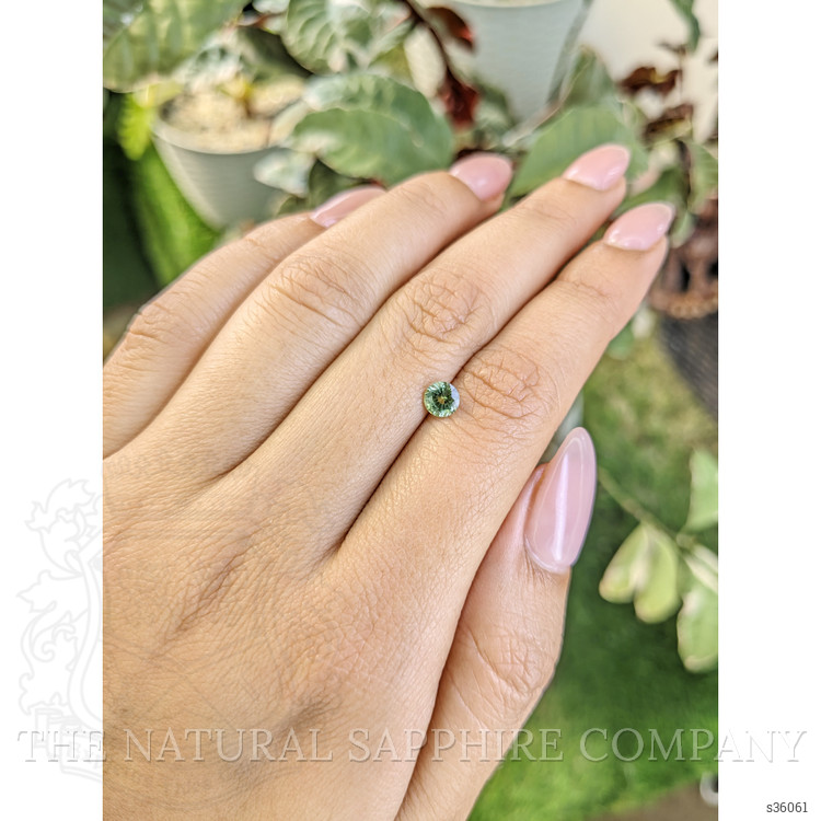 0.62 Ct. Yellowish Green Sapphire from Madagascar