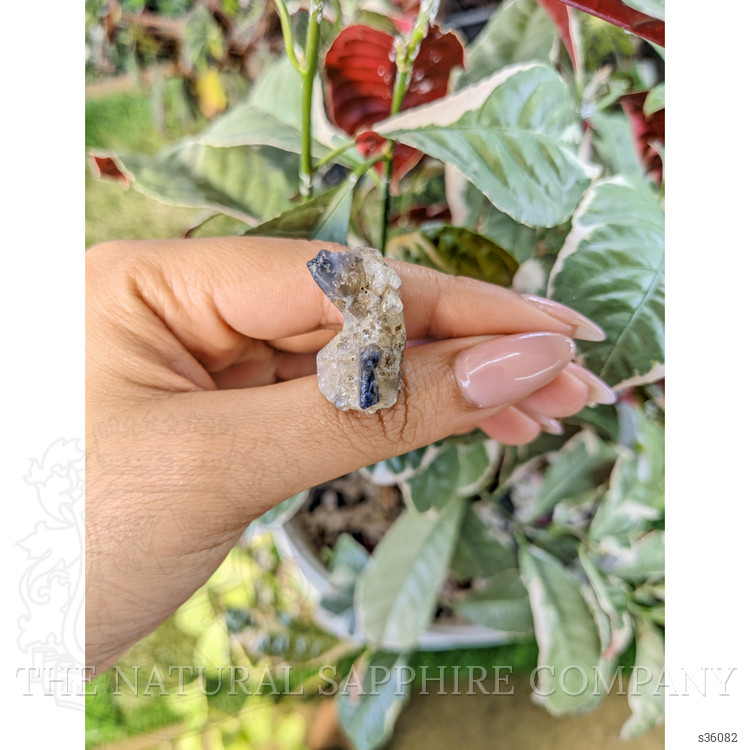 41.08 Ct. Bi Color Rough Sapphire Crystal from Ceylon (Sri Lanka)