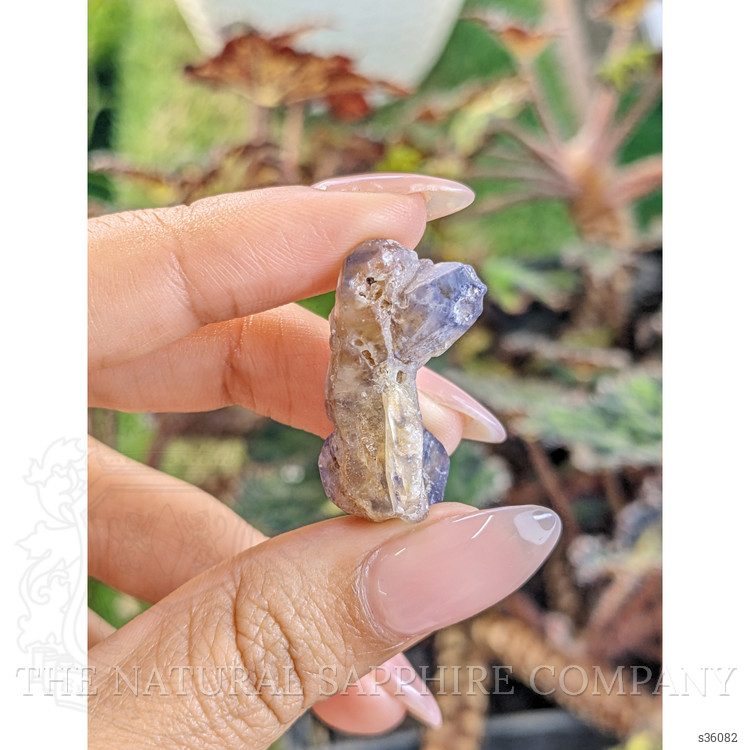 41.08 Ct. Bi Color Rough Sapphire Crystal from Ceylon (Sri Lanka)