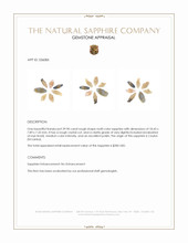 29.90 Ct. Multi Color Rough Sapphire Crystal from Ceylon (Sri Lanka) Appraisal