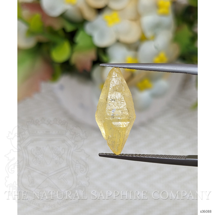 8.85 Ct. Yellow Rough Sapphire Crystal from Ceylon (Sri Lanka)