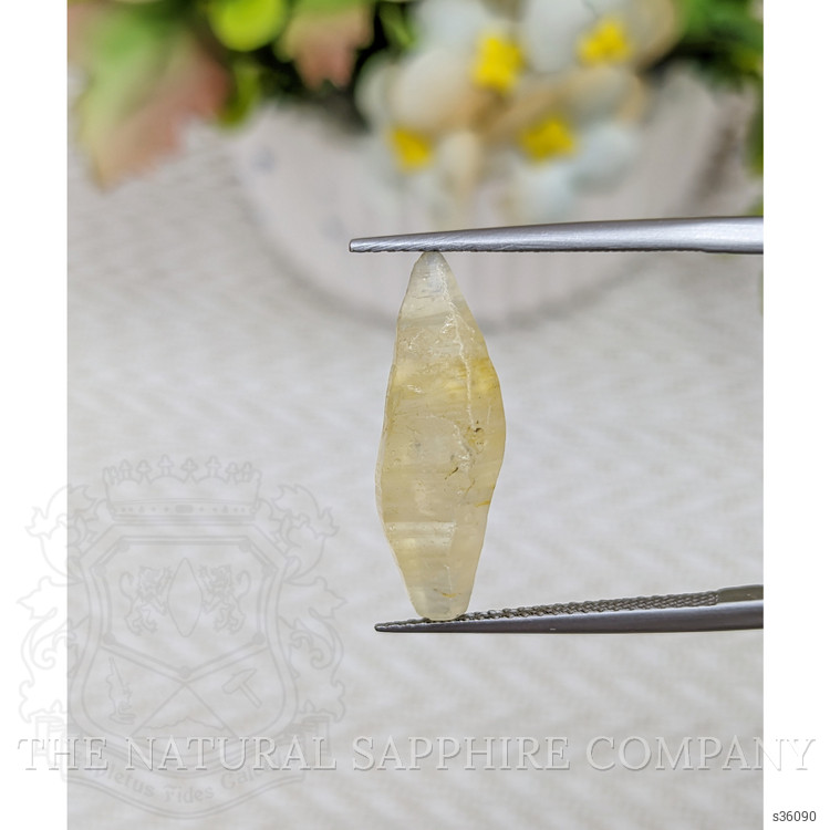 7.37 Ct. Yellow Rough Sapphire Crystal from Ceylon (Sri Lanka)