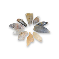 27.40 Ct. Multi Color Rough Sapphire from Ceylon (Sri Lanka) Video