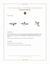 16.09 Ct. Multi Color Rough Sapphire from Ceylon (Sri Lanka) Appraisal