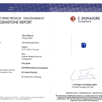 6.06 Ct. Blue Sapphire from Ceylon (Sri Lanka) Scan Report