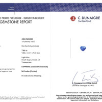 7.01 Ct. Blue Sapphire from Ceylon (Sri Lanka) Scan Report