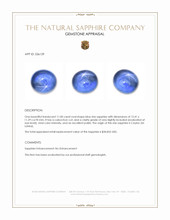 11.00 Ct. Blue Star Sapphire from Ceylon (Sri Lanka) Appraisal