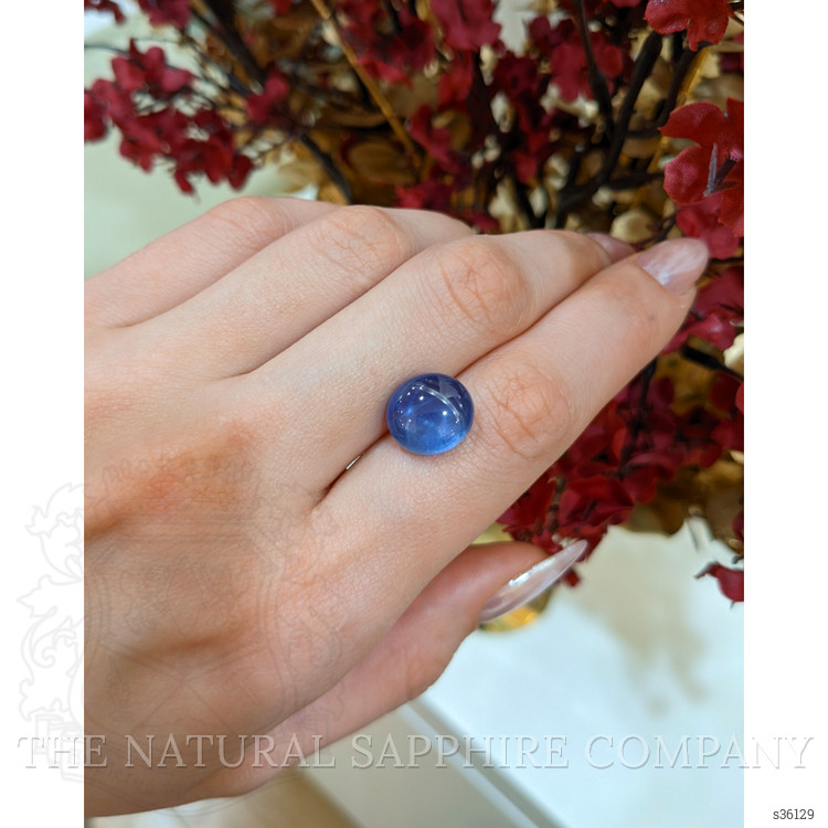 11.00 Ct. Blue Star Sapphire from Ceylon (Sri Lanka)