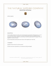 13.00 Ct. Blue Star Sapphire from Ceylon (Sri Lanka) Appraisal