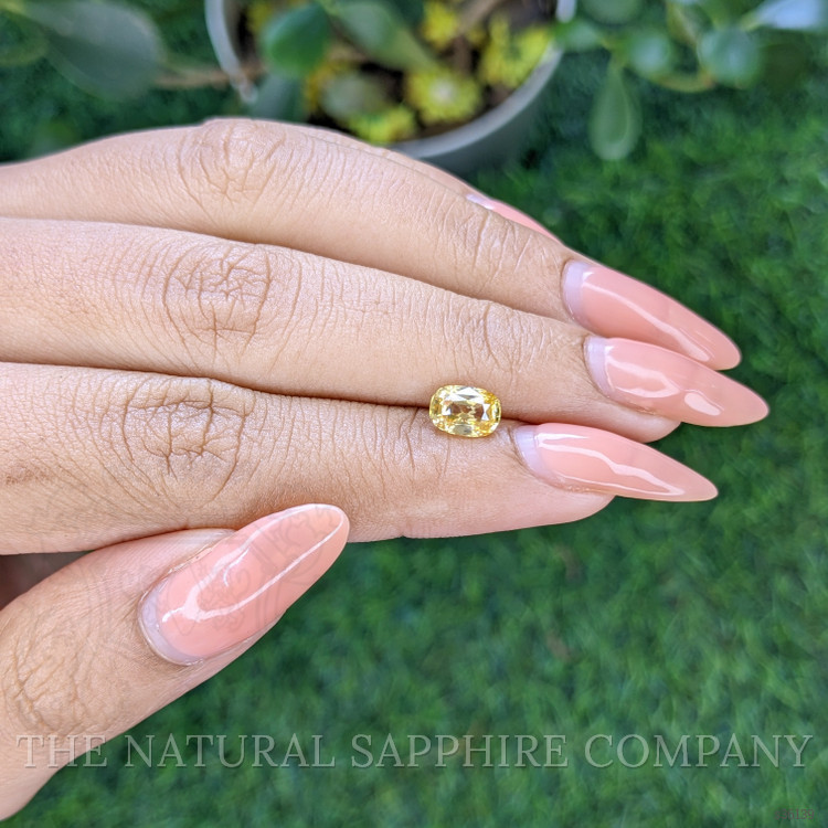 1.41 Ct. Yellow Sapphire from Ceylon (Sri Lanka)
