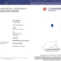 3.83 Ct. Blue Sapphire from Ceylon (Sri Lanka) Scan Report