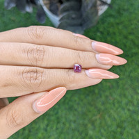 1.00 Ct. Pink Sapphire from Ceylon (Sri Lanka) Life Style