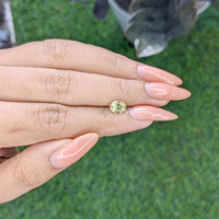 1.01 Ct. Yellowish Green Sapphire from Ceylon (Sri Lanka) Life Style