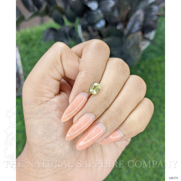 1.01 Ct. Yellowish Green Sapphire from Ceylon (Sri Lanka)