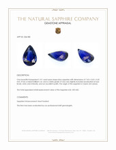 1.01 Ct. Blue Sapphire from Ceylon (Sri Lanka) Appraisal