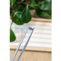 0.23 Ct. Bi Color Sapphire from Montana Life Style