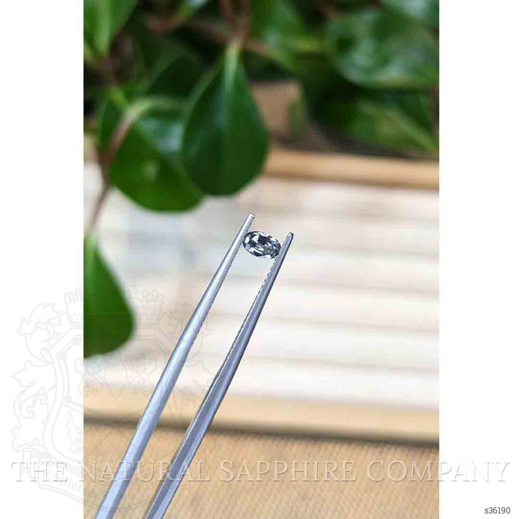 0.23 Ct. Bi Color Sapphire from Montana