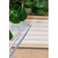 0.27 Ct. Greenish Yellow Sapphire from Montana Life Style