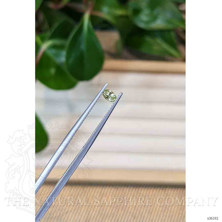 0.27 Ct. Greenish Yellow Sapphire from Montana