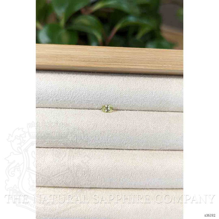 0.27 Ct. Greenish Yellow Sapphire from Montana