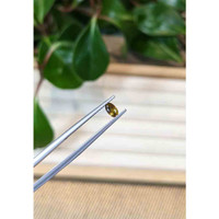 0.28 Ct. Greenish Yellow Sapphire from Montana Life Style