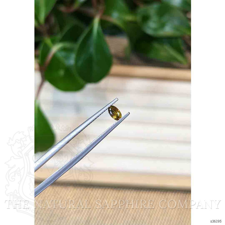 0.28 Ct. Greenish Yellow Sapphire from Montana