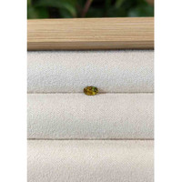 0.28 Ct. Greenish Yellow Sapphire from Montana Life Style