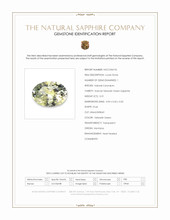 0.31 Ct. Yellowish Green Sapphire from Montana Scan Report
