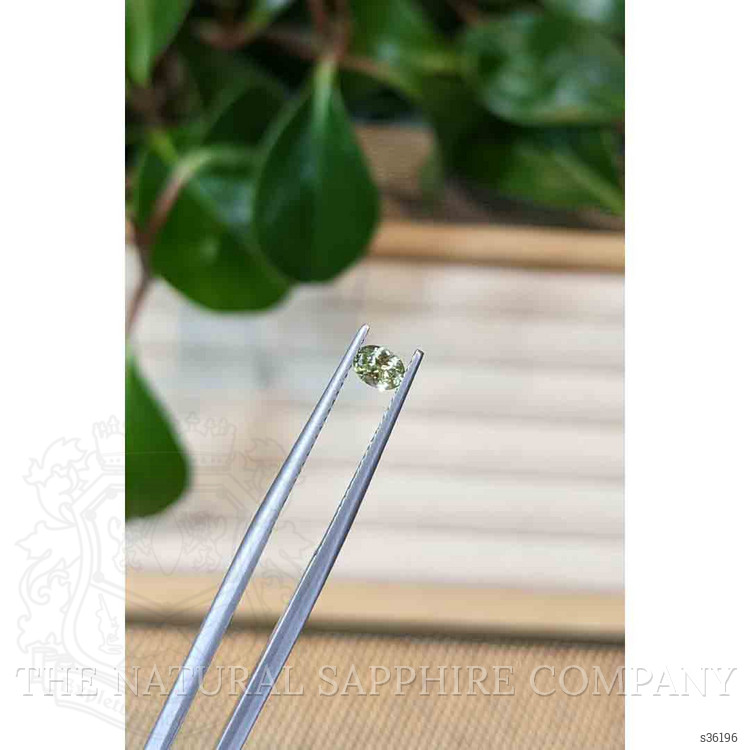 0.31 Ct. Yellowish Green Sapphire from Montana