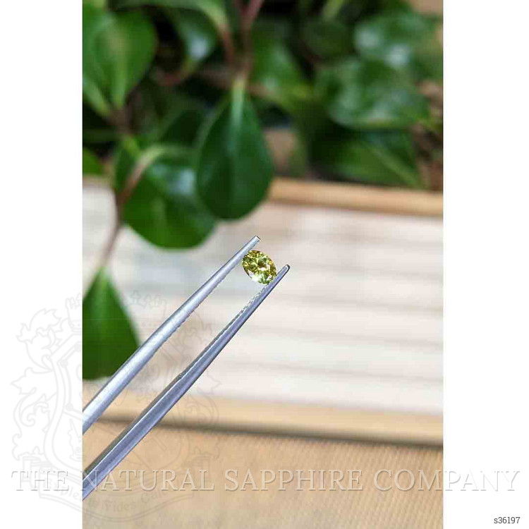 0.34 Ct. Greenish Yellow Sapphire from Montana