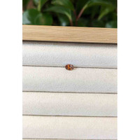 0.34 Ct. Reddish Orange Sapphire from Montana Life Style