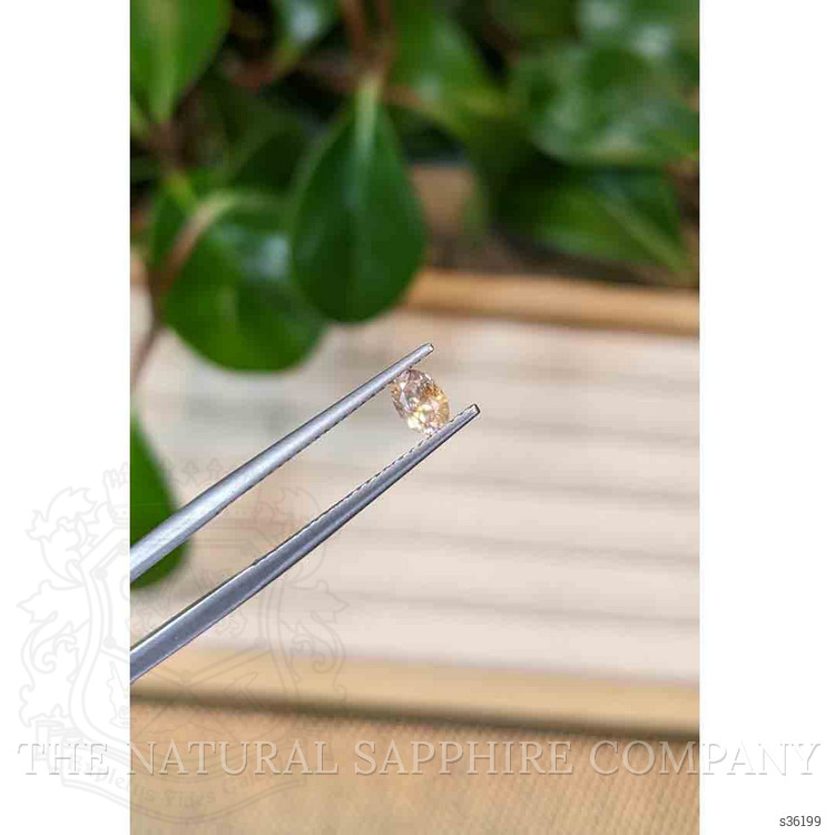 0.37 Ct. Bi Color Sapphire from Montana