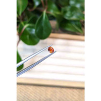 0.39 Ct. Orange Sapphire from Montana Life Style