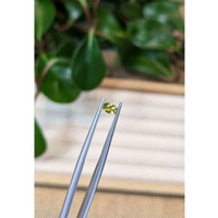 0.23 Ct. Greenish Yellow Sapphire from Montana Life Style