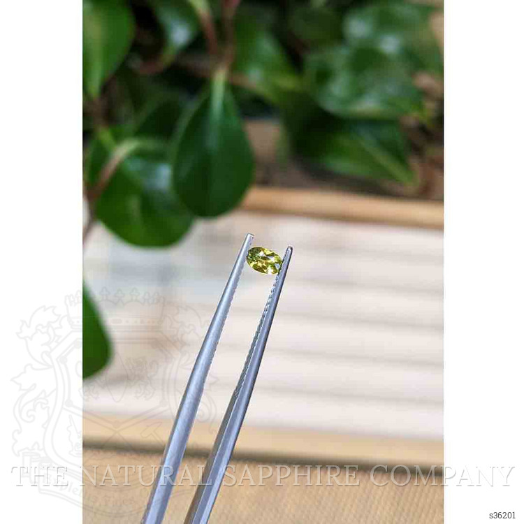 0.23 Ct. Greenish Yellow Sapphire from Montana