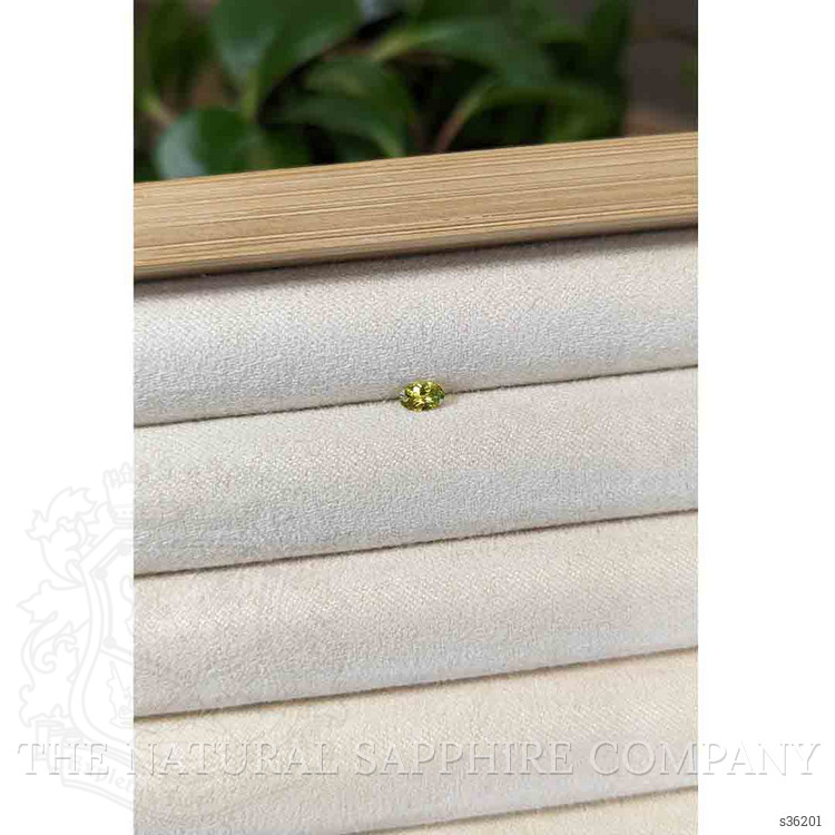 0.23 Ct. Greenish Yellow Sapphire from Montana