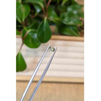 0.39 Ct. Yellowish Green Sapphire from Montana Life Style