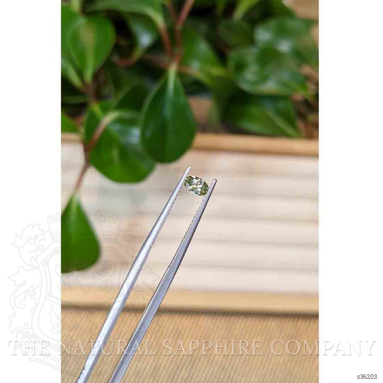 0.39 Ct. Yellowish Green Sapphire from Montana