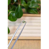 0.42 Ct. Bi Color Sapphire from Montana Life Style