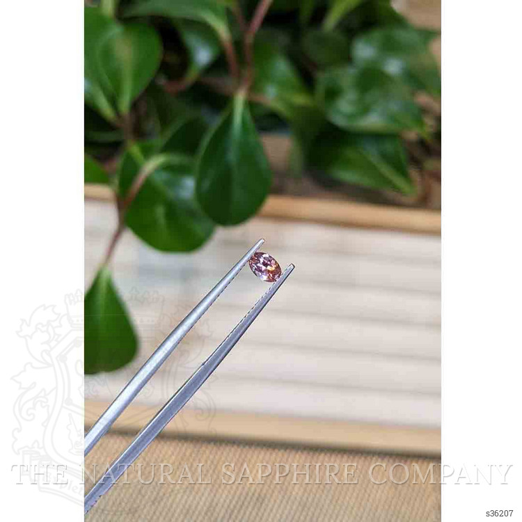 0.42 Ct. Bi Color Sapphire from Montana